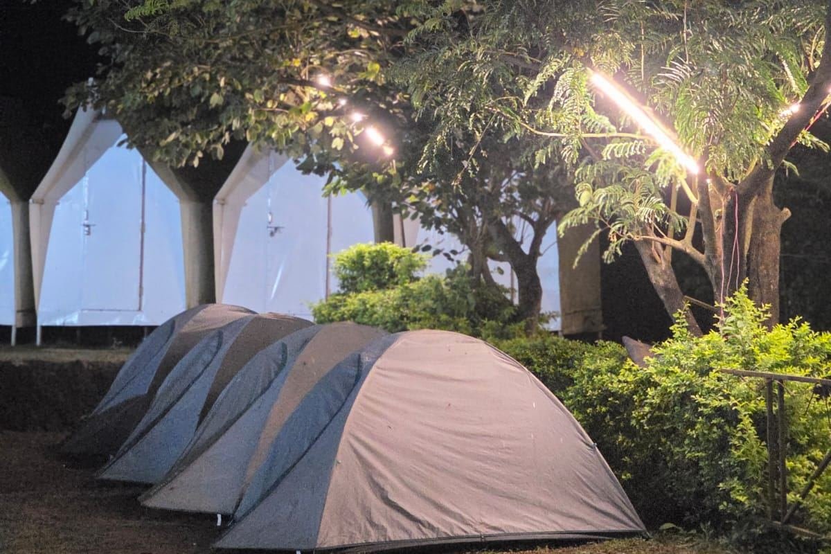 Night at camp